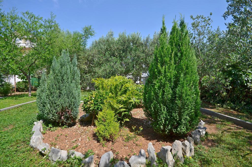 Apartment Ljubica Vodice Eksteriør bilde
